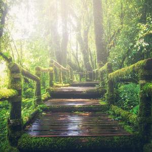 动漫女孩被艹哭
